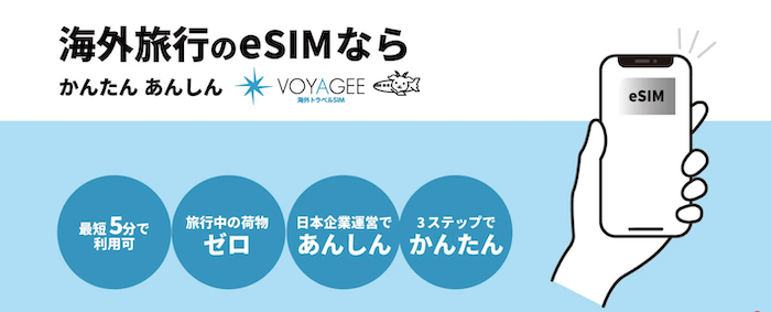 VOYAGEESIMのサイト画像